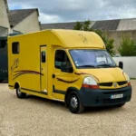 Gebrauchter Pferdetransporter/Van/Leasingfahrzeug, 5-Sitzer
