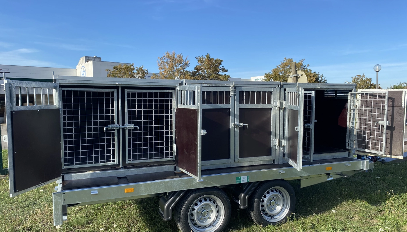 93b2b9a338b24d9459483f5add44905e43ffdf4a.jpeg EDUARD Pritschenanhänger mit 2-Kammer-Hundebox – Image 1